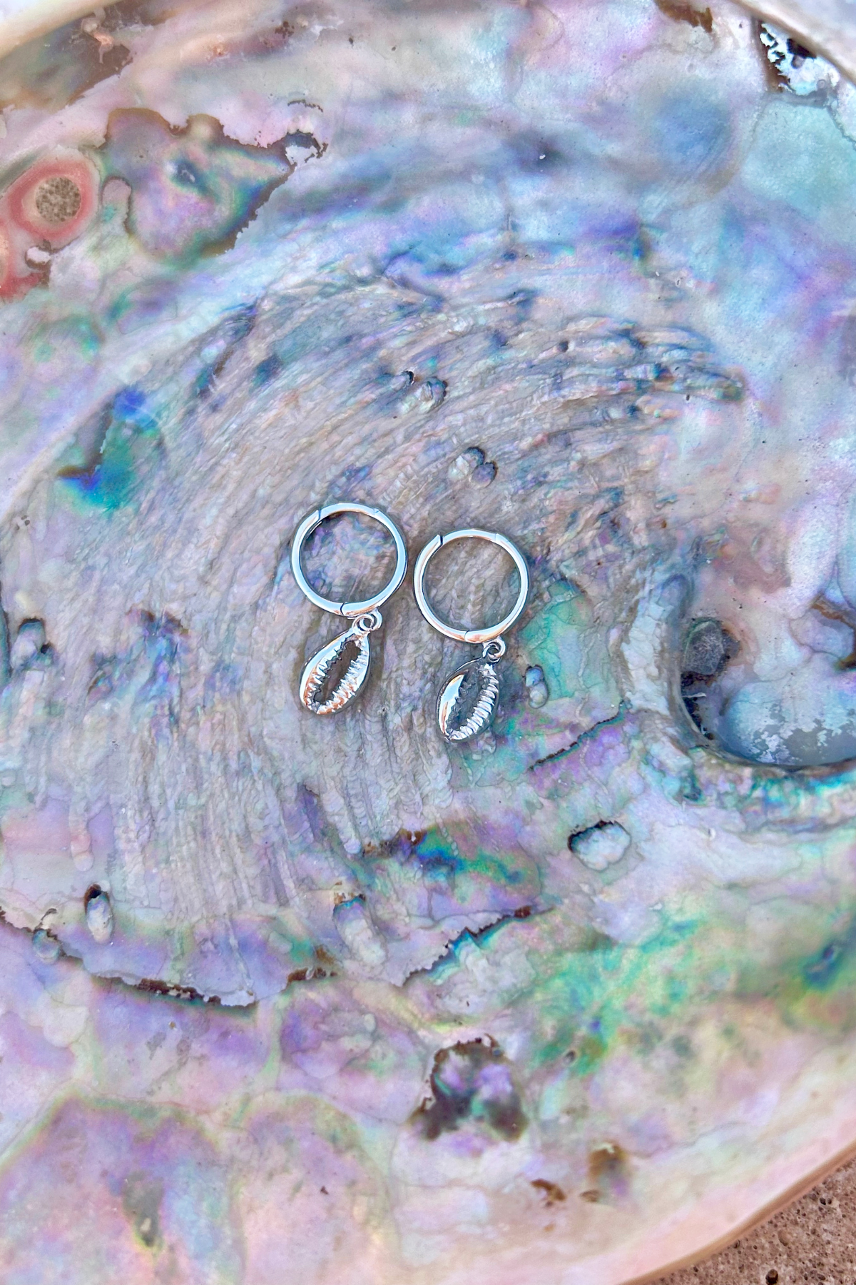 Cowrie Shell Huggie Earrings - Silver